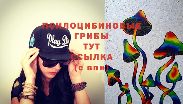 мяу мяу кристалл Переславль-Залесский